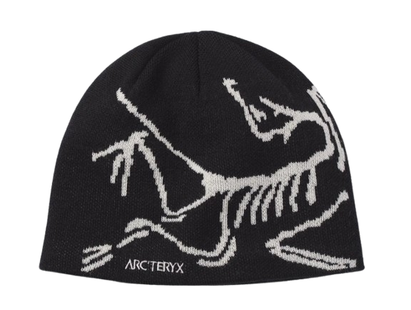 Arcteryx beanie